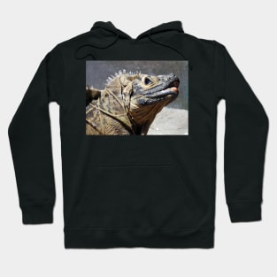 Sailfin Lizard Hoodie